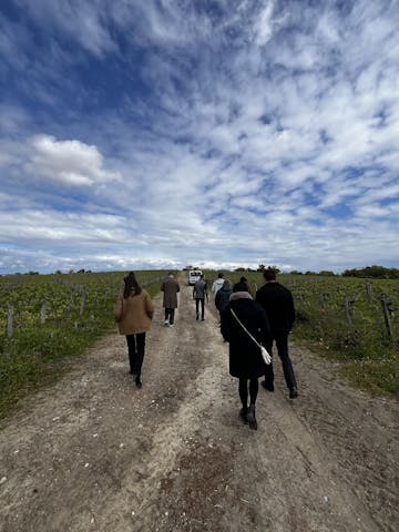 Château Haut-Bages Libéral